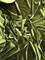 1 Yard Olive Green Stretch Velvet Fabric with Soft Finish and Elegant Draping for Fashion and Décor 58/60 Inch Wide